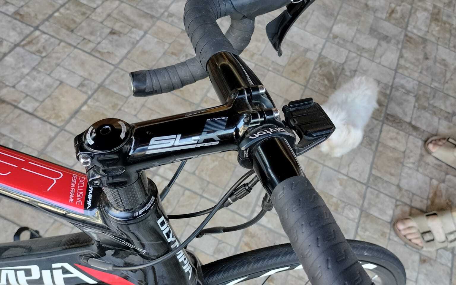 Bici da corsa Olympia Leader Carbonio, Usata, 2019, Padova