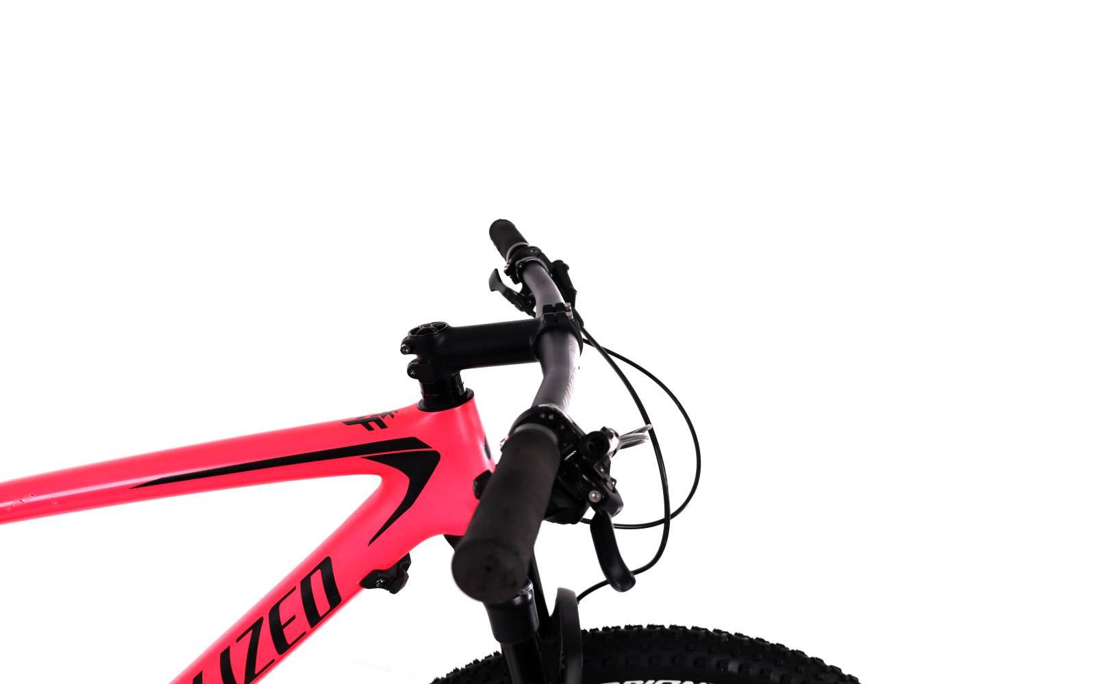 Mountain Bike Specialized Epic, Usata, 2018, Valencia